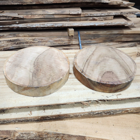 300mm Camphor Laurel Round Turning Blanks - Wet 60-65mm