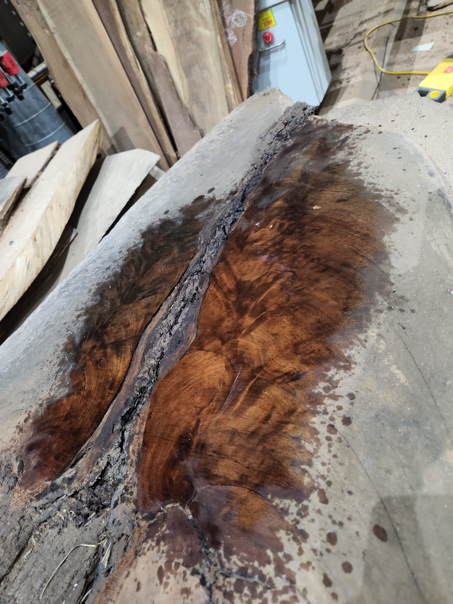 Ironbark Slab IB1