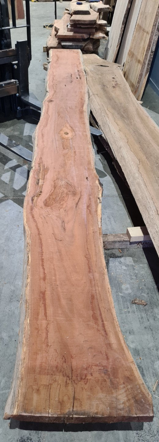 Red Ironbark Slab RI2