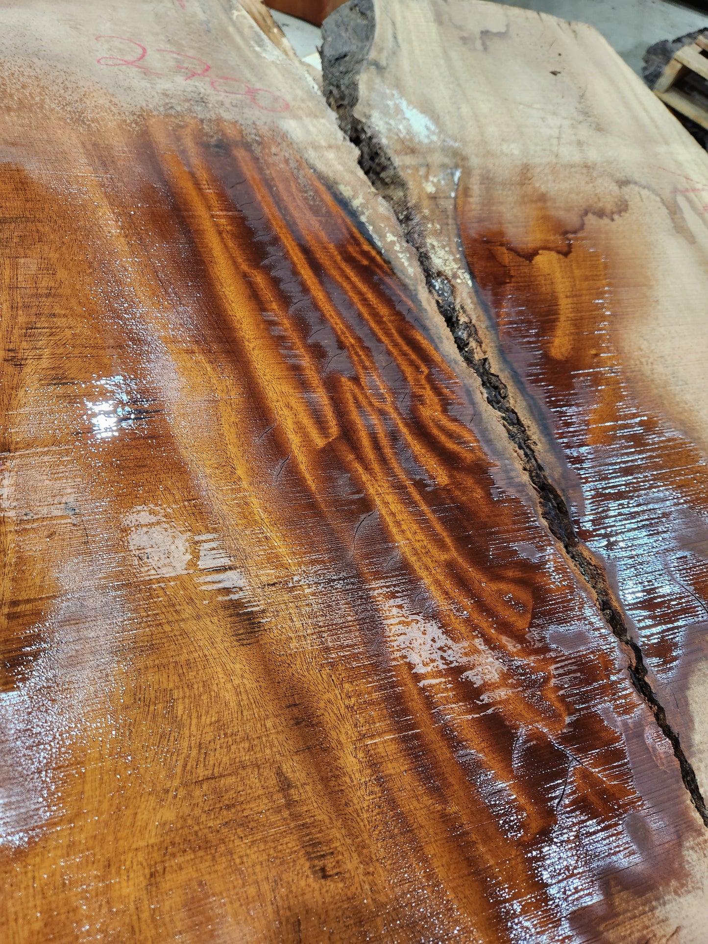 African Mahogany Slab 203