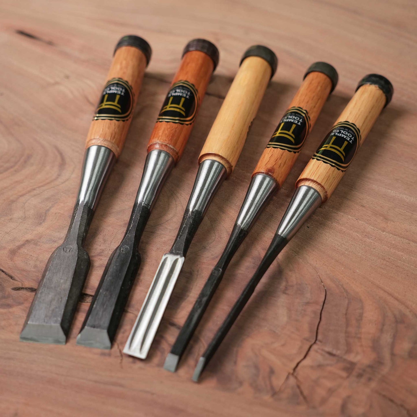 Temple Tool Co Japanese Bench Chisels Box Set (1", ¾", ½", ¼", ⅛")
