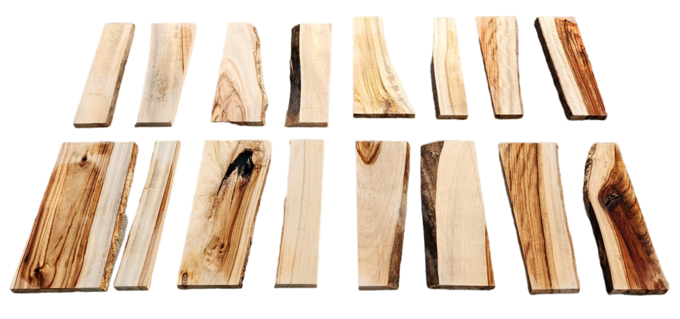 Camphor Laurel Charcuterie Resin Sets