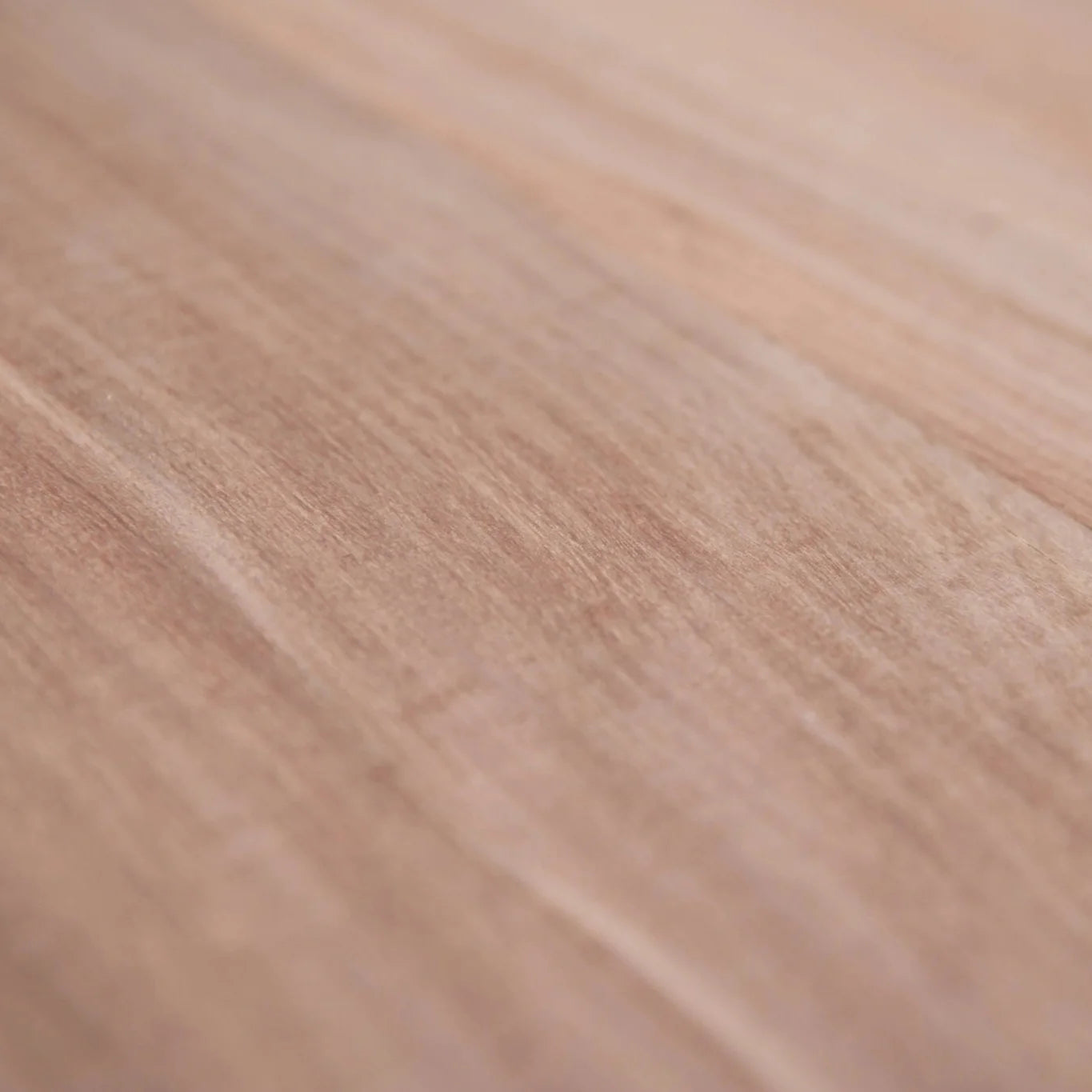 Brushbox 200 x 50mm – Standard Grade, Kiln Dried, Rough Sawn Joinery Timber