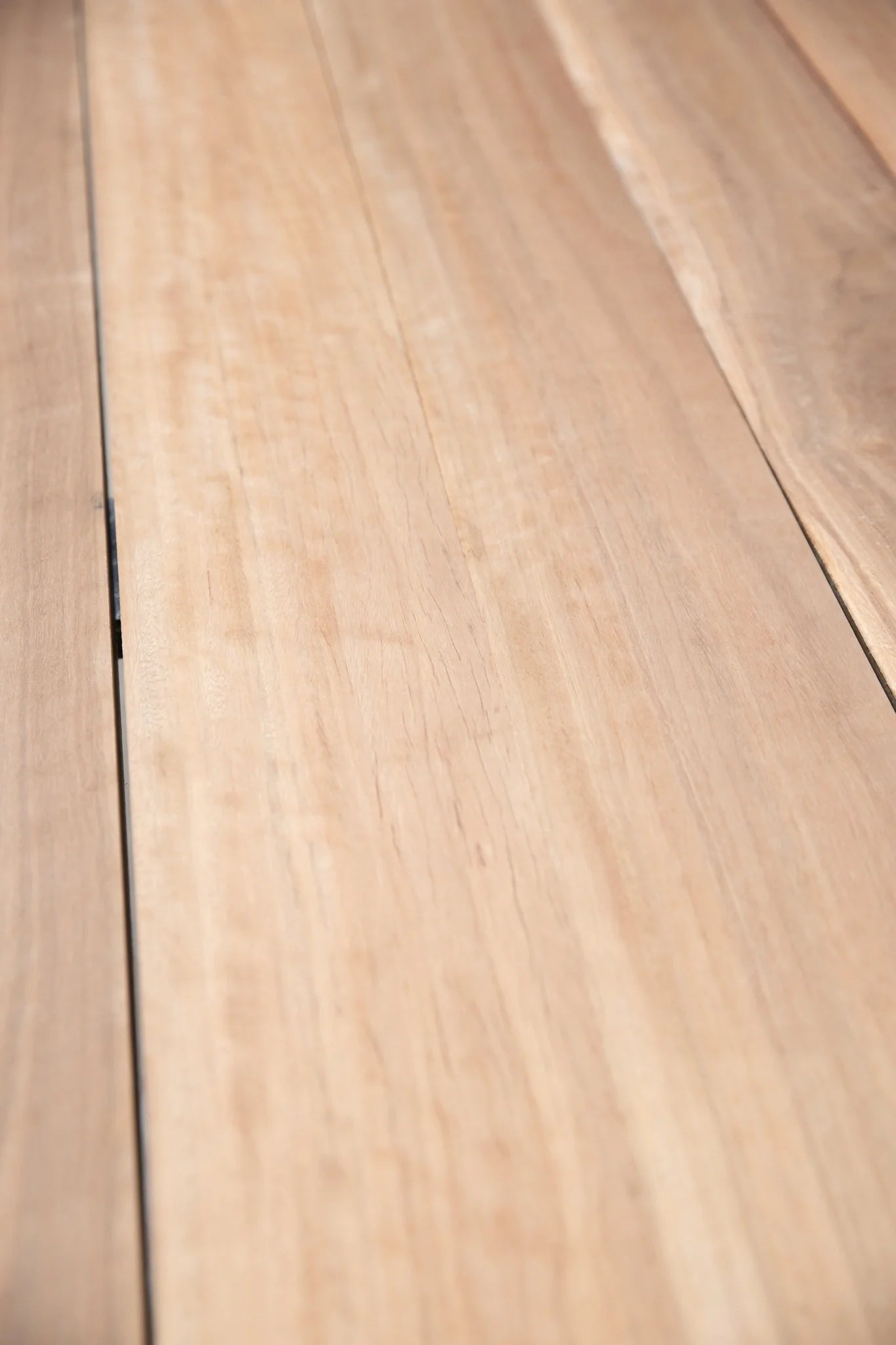 Queensland Spotted Gum 150 x 38mm – Select Grade, Kiln Dried, Rough Sawn Joinery Timber